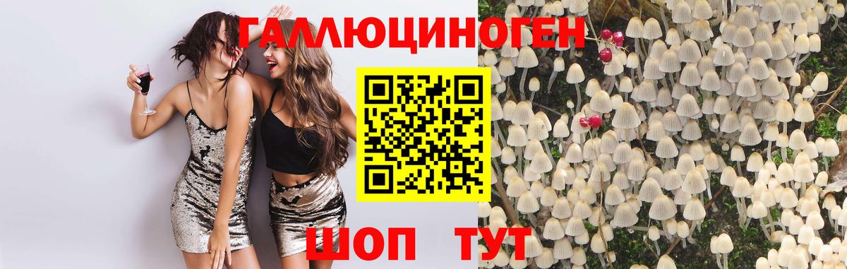 что такое   Вход с VPN  Реутов  Галлюциногенные грибы Psilocybe 