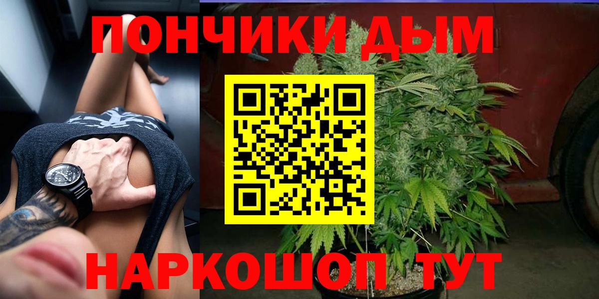 Каннабис ГИДРОПОН  Вход с VPN  Реутов  Конопля тримм 